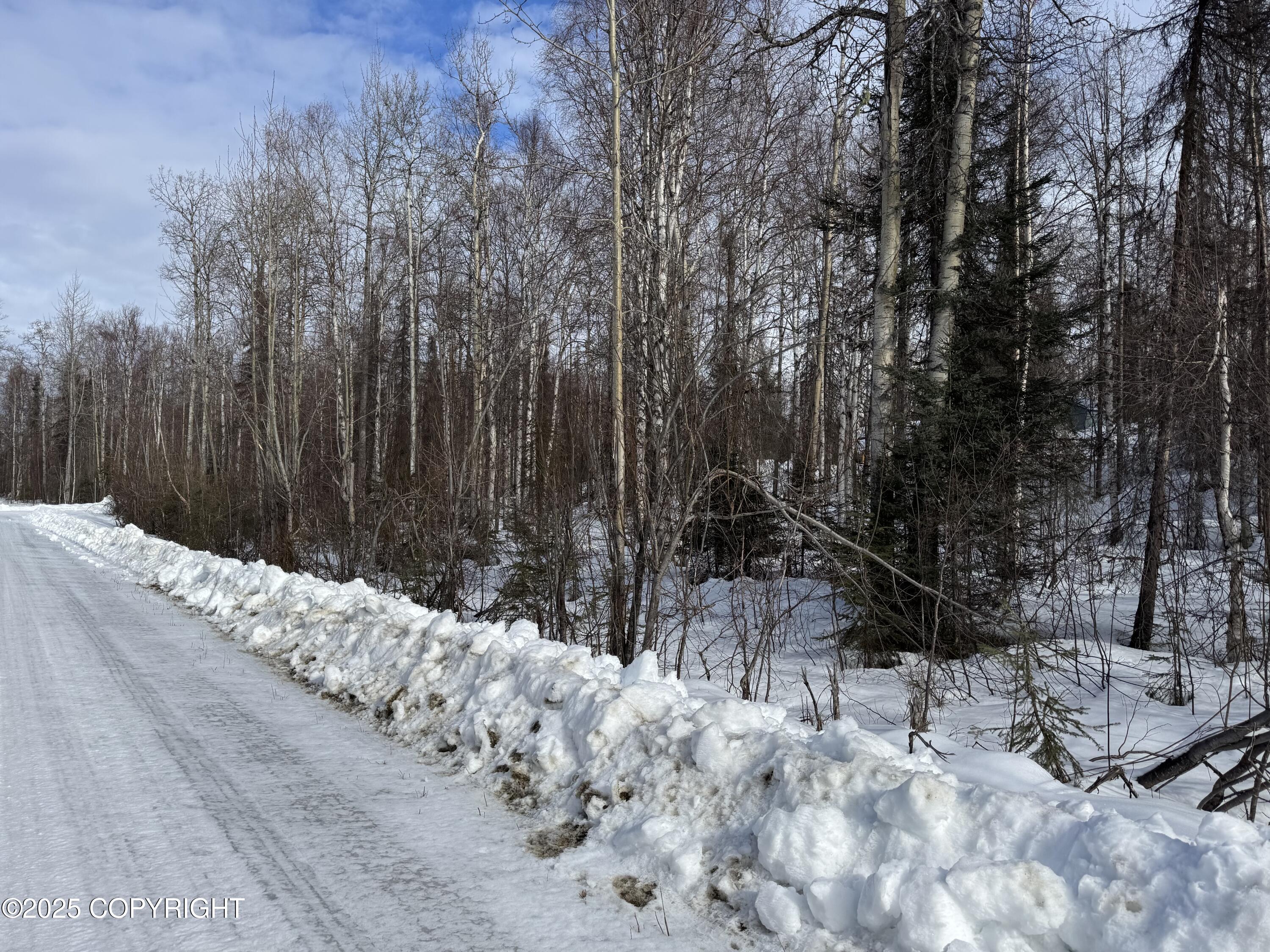 L161 S Cutthroat Drive, Willow, Idaho image 8
