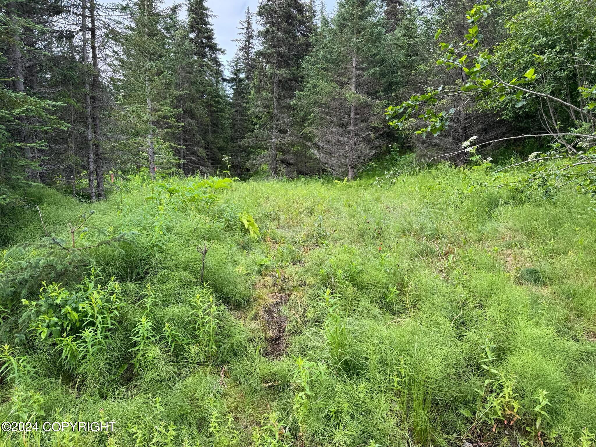 73717 Breakaway Road, Anchor Point, Alaska image 1