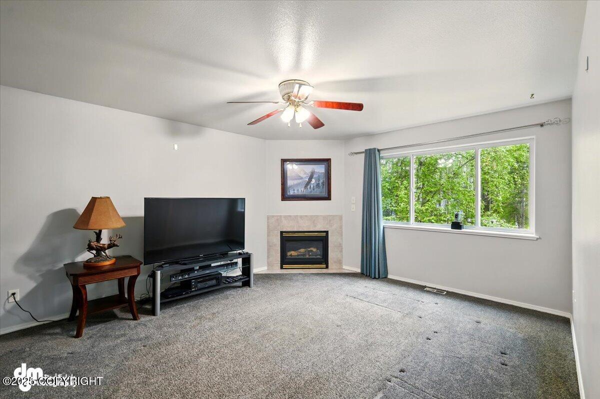325 W St. Ives Circle, Wasilla, Alaska image 28