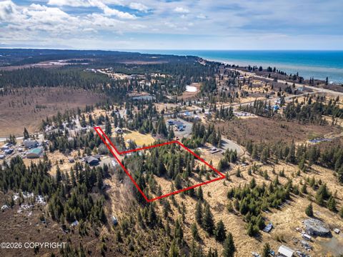 Photo of 71746 Cape Ninilchik Avenue, Anchor Point, AK 99556 (MLS # 26-5289)