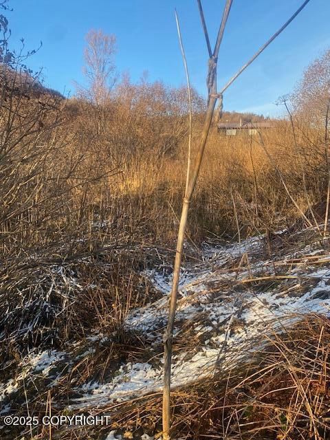 Vacant Land For Sale - L19 Shelby Kay Street<br/> Homer, AK 99603