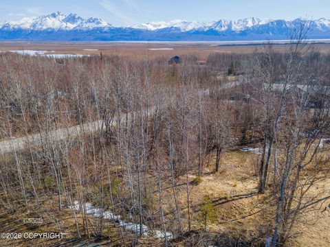 Photo of 1160 E Chugach View Drive, Wasilla, AK 99654 (MLS # 26-4559)
