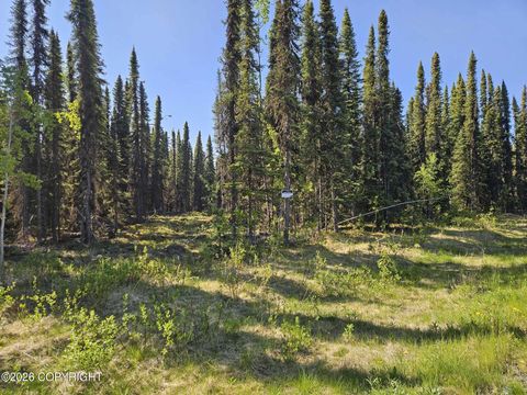 Vacant Land For Sale - 34831 Laura Lane<br/> Soldotna, AK 99669