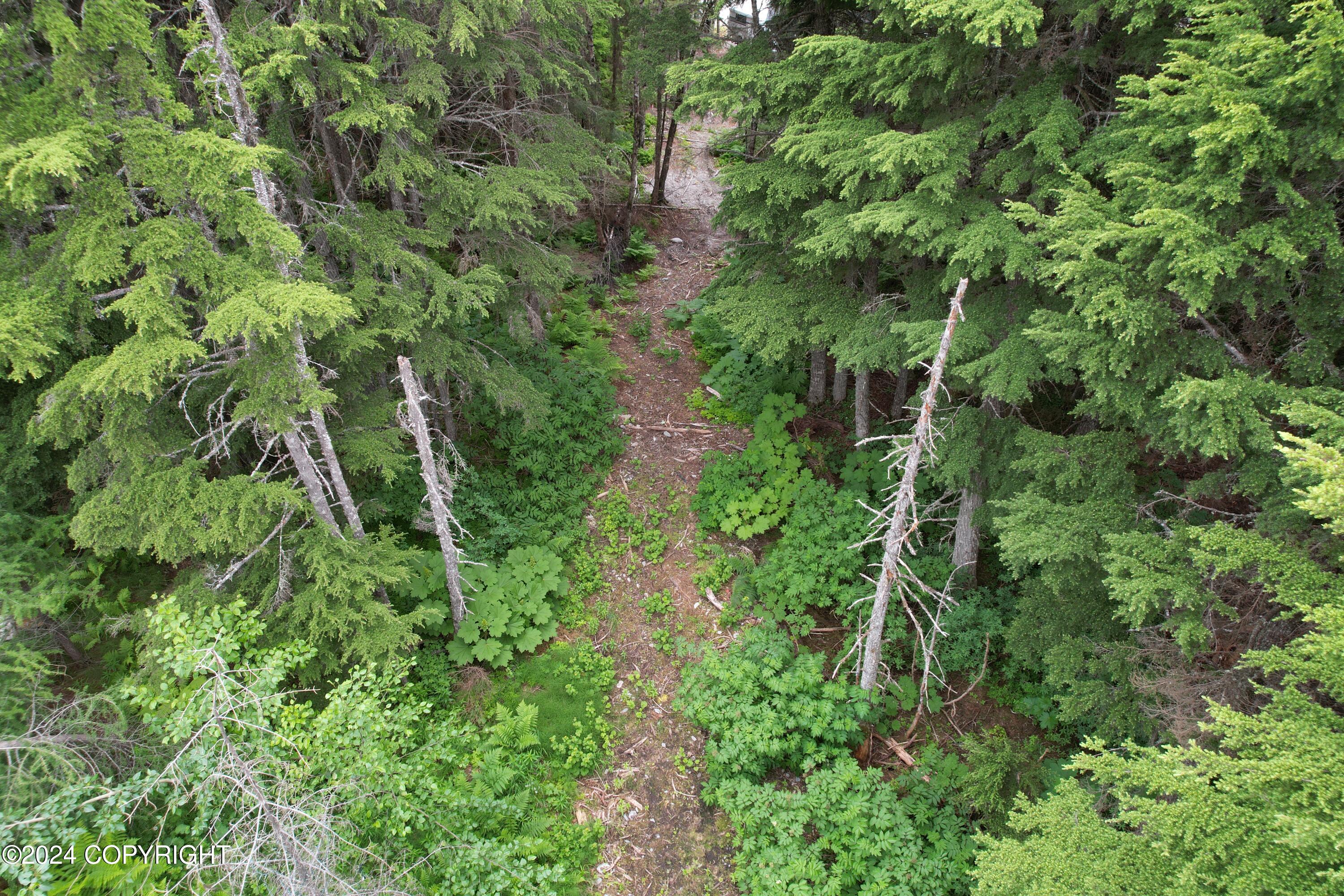 200 Sproat Road, Girdwood, Alaska image 8