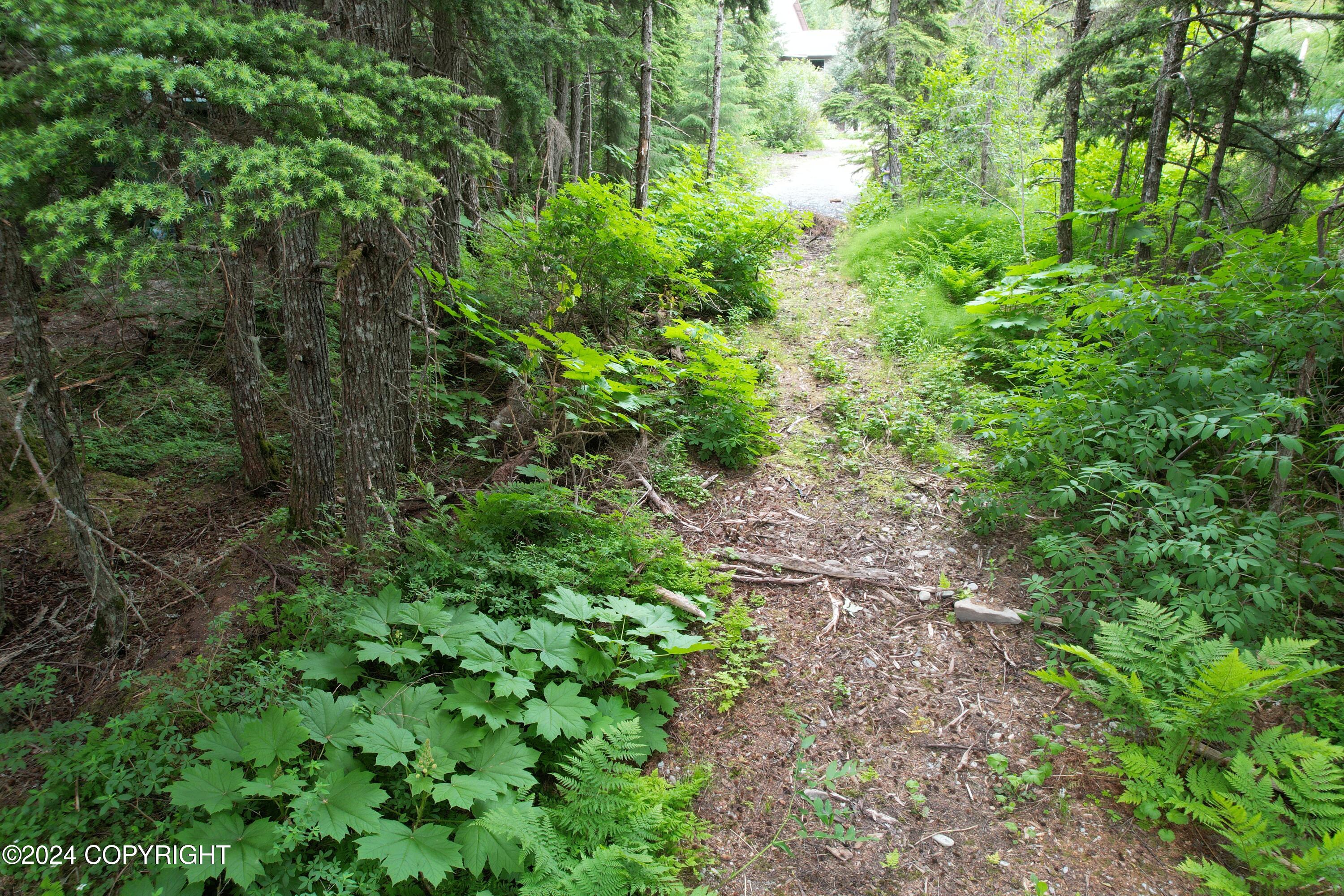 200 Sproat Road, Girdwood, Alaska image 6