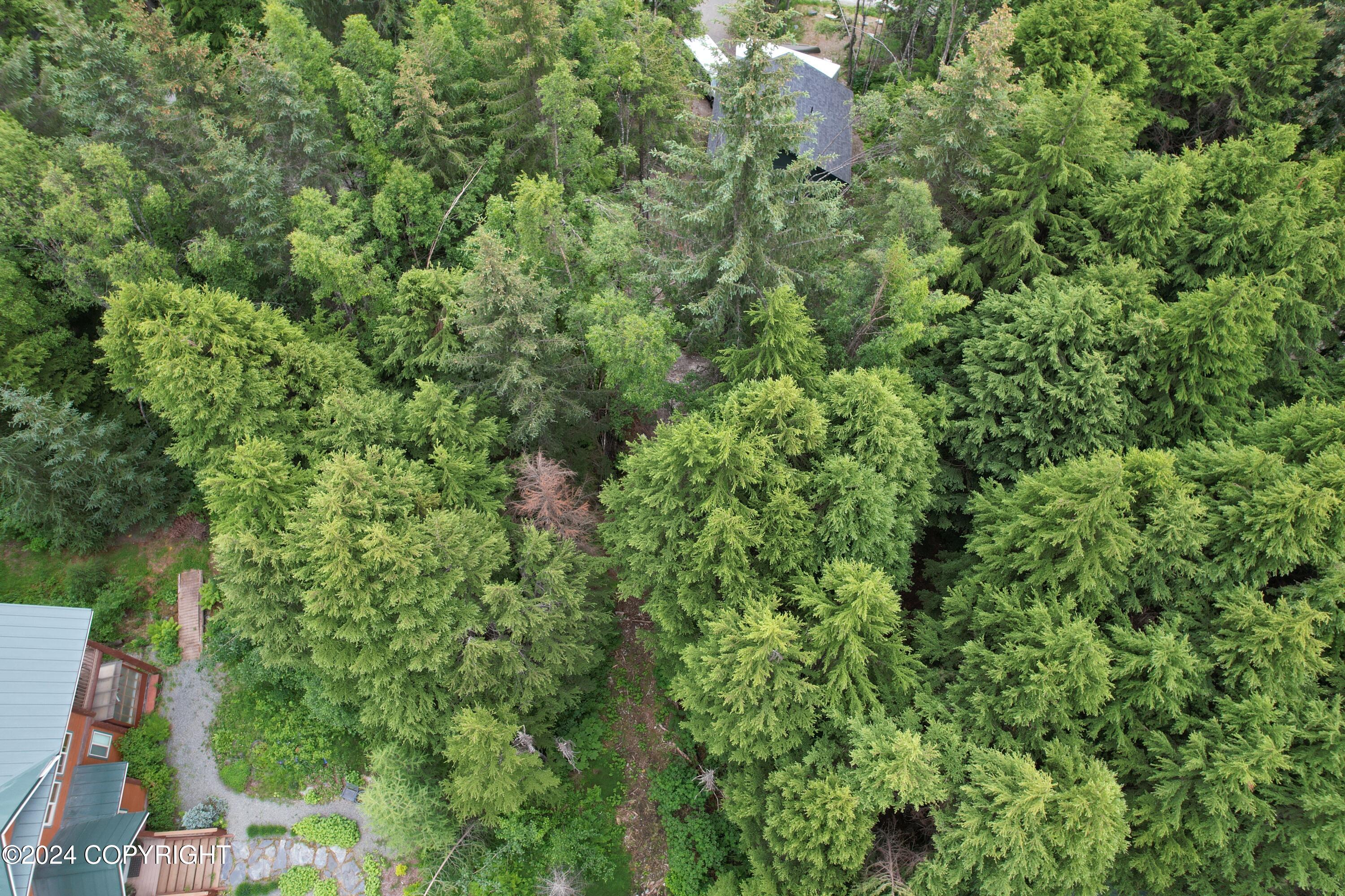 200 Sproat Road, Girdwood, Alaska image 7