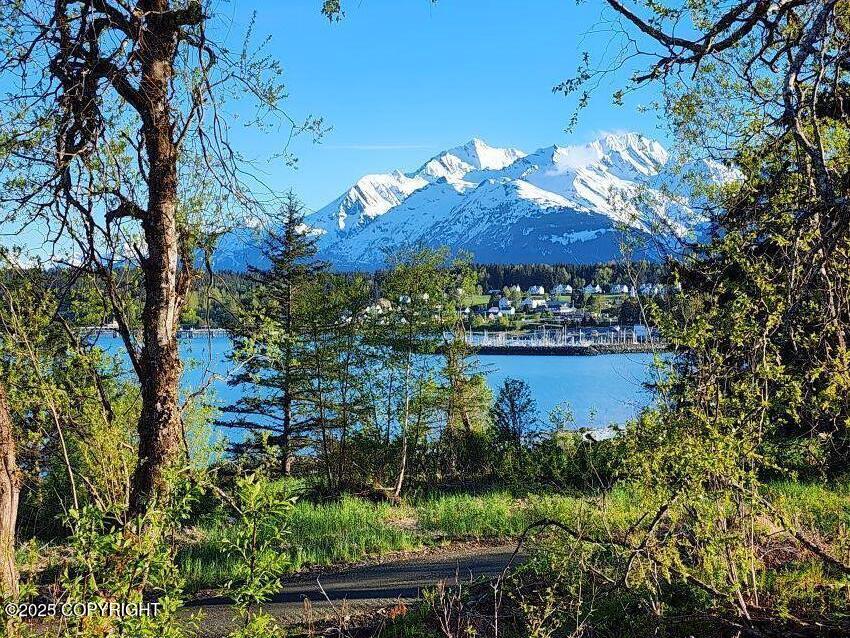 Lot 7 Barnett Street, Haines, Alaska image 1
