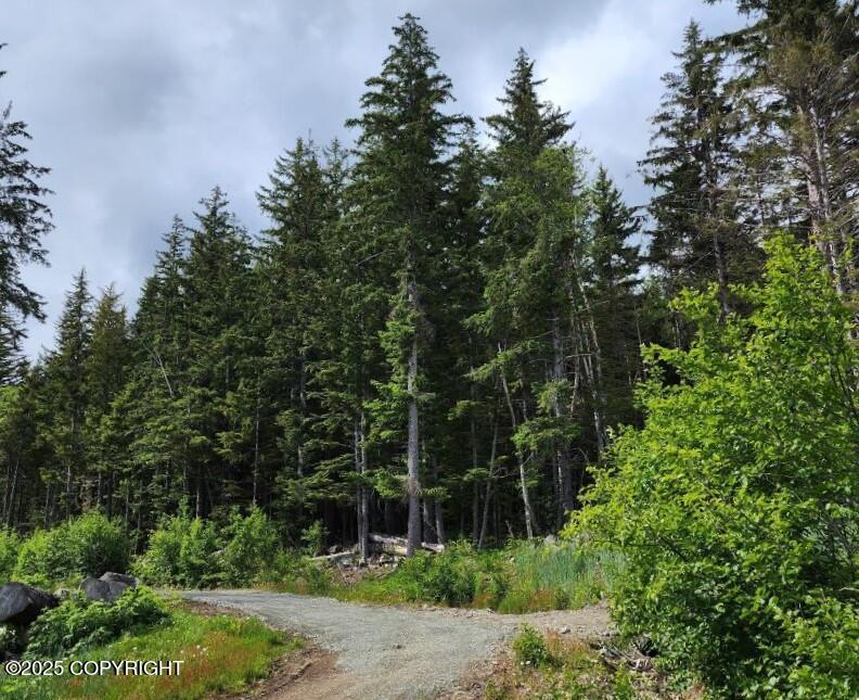 Lot 7 Barnett Street, Haines, Alaska image 6