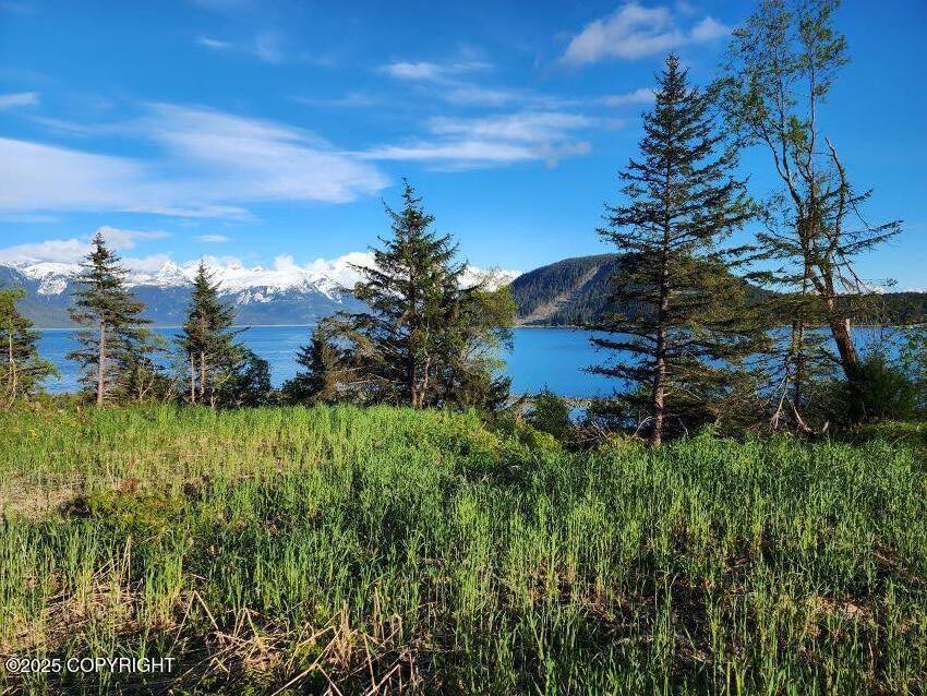 Lot 7 Barnett Street, Haines, Alaska image 2