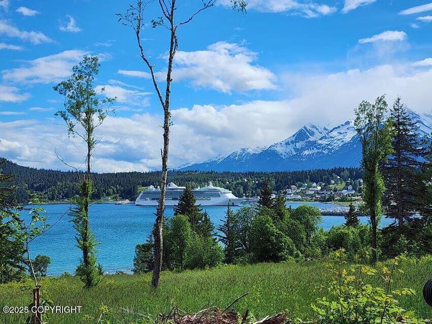 Lot 7 Barnett Street, Haines, Alaska image 4