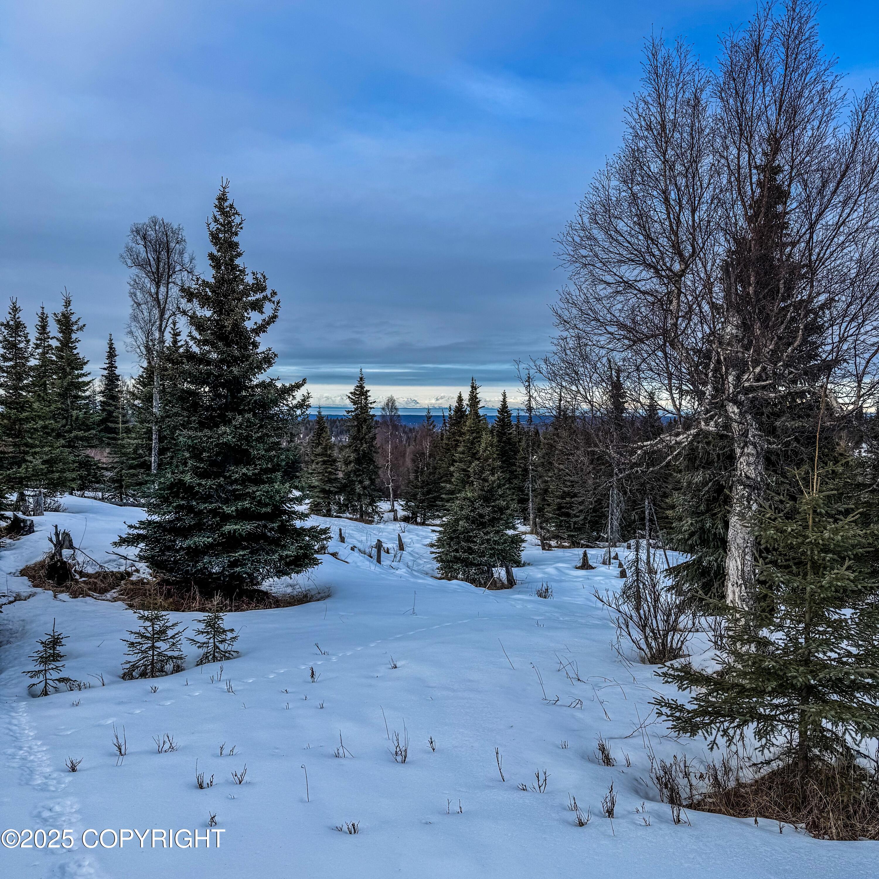000 Shelford Avenue, Ninilchik, Alaska image 19