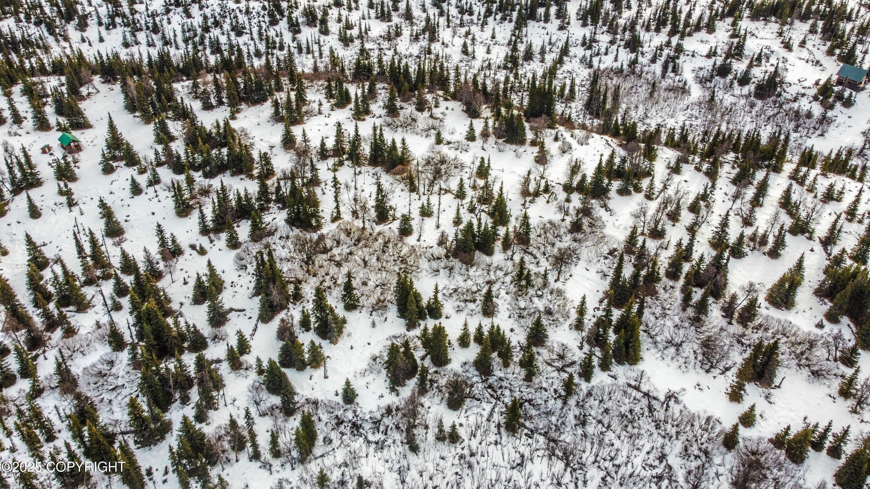 000 Shelford Avenue, Ninilchik, Alaska image 11