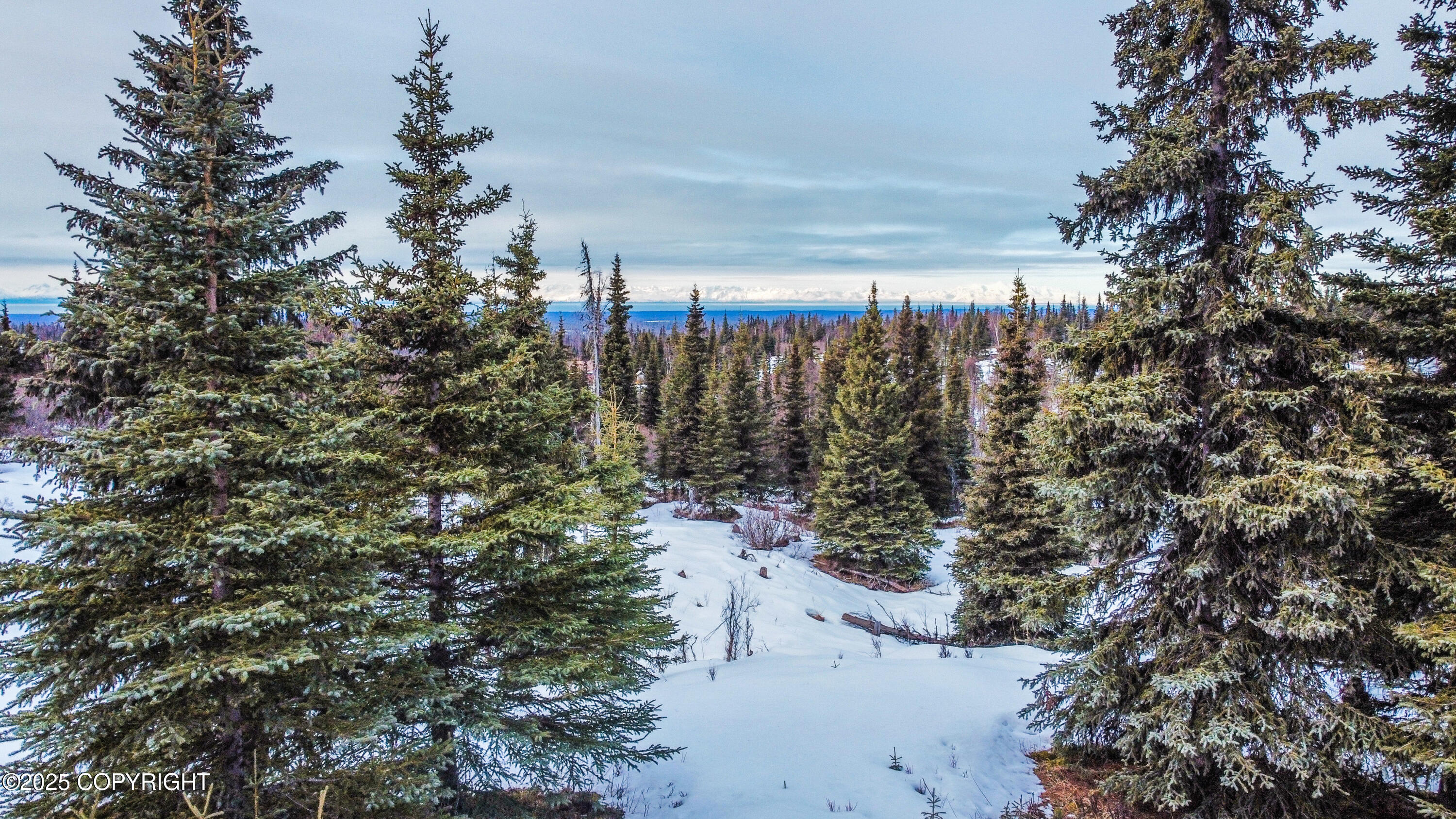000 Shelford Avenue, Ninilchik, Alaska image 18