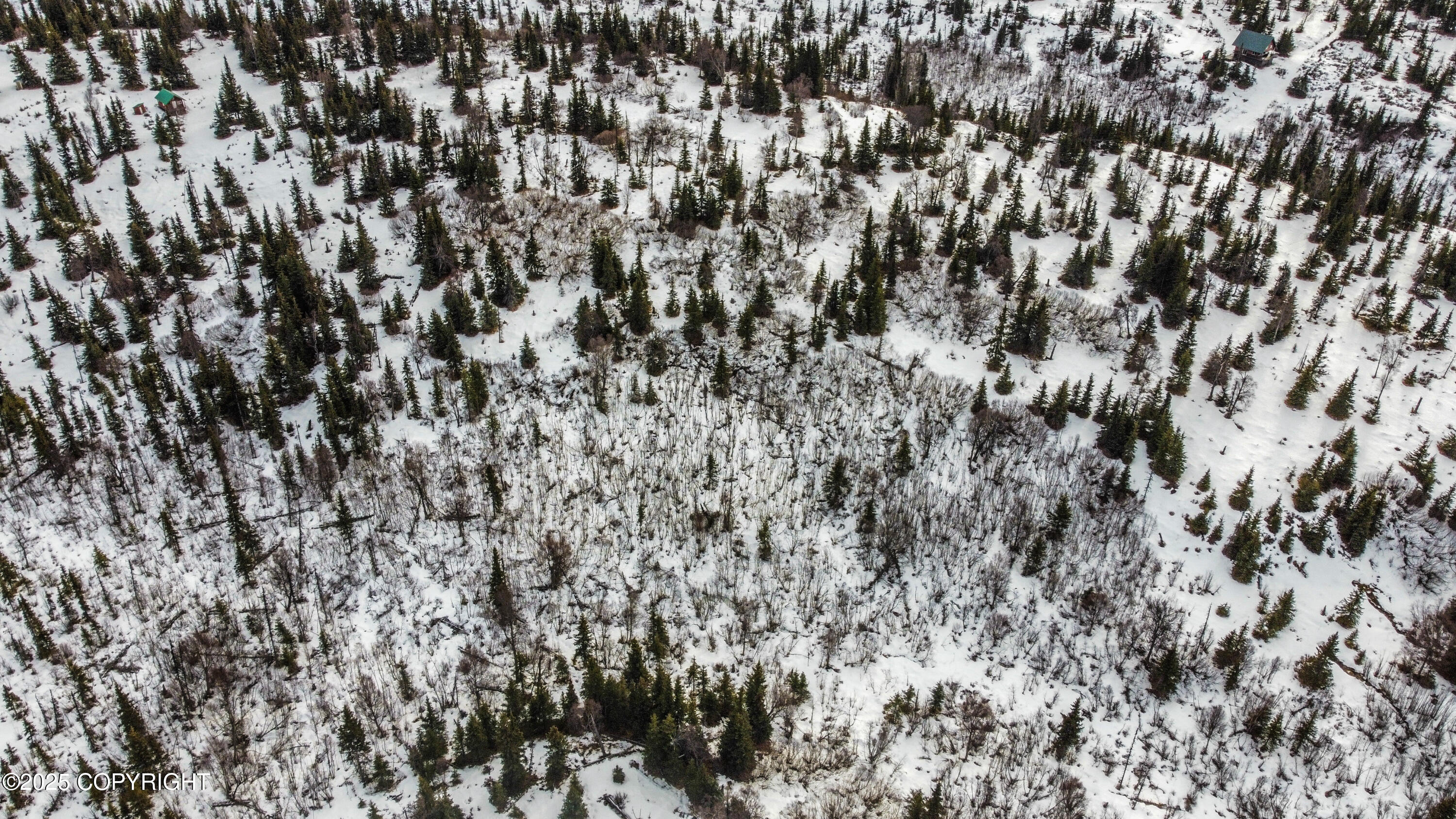 000 Shelford Avenue, Ninilchik, Alaska image 10