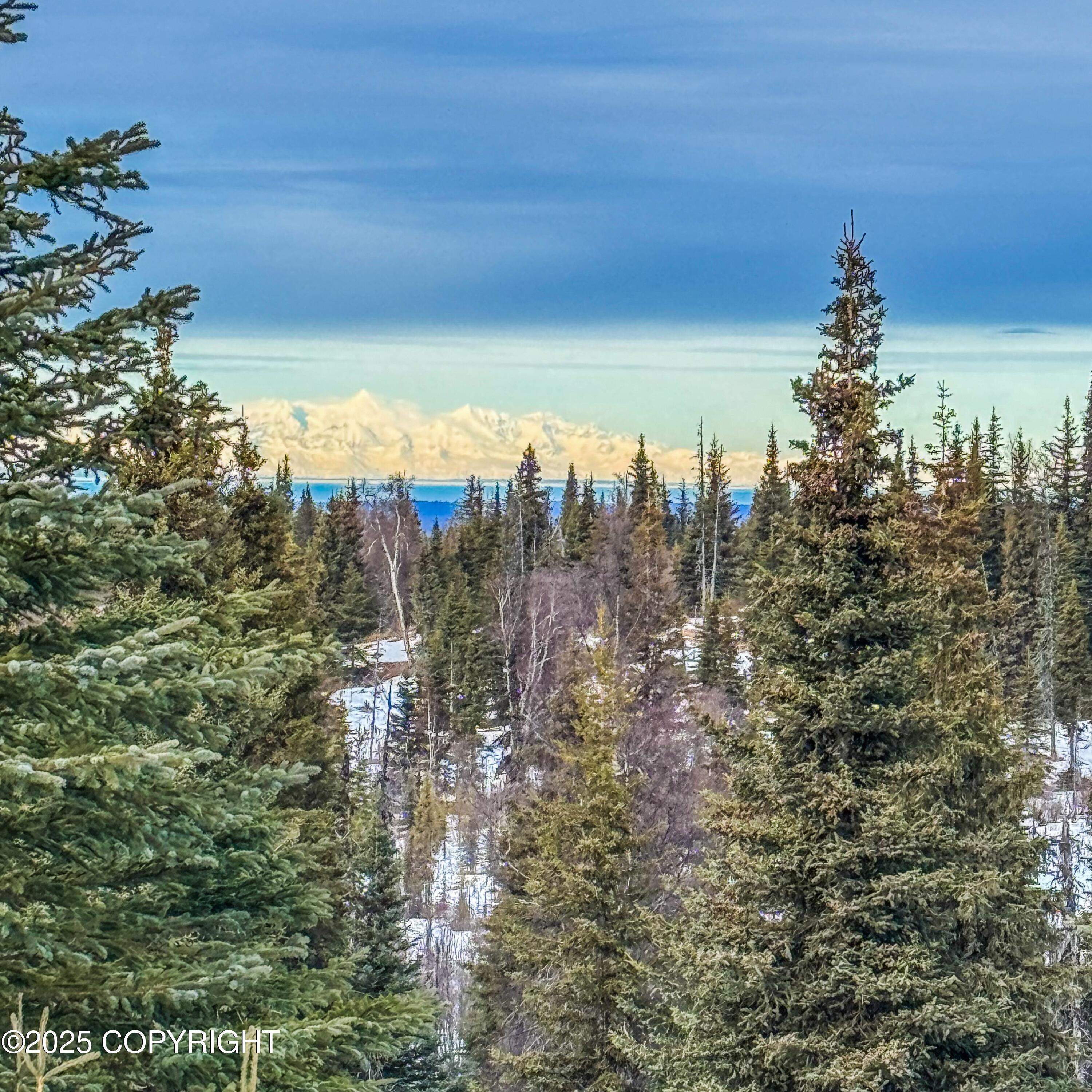 000 Shelford Avenue, Ninilchik, Alaska image 22