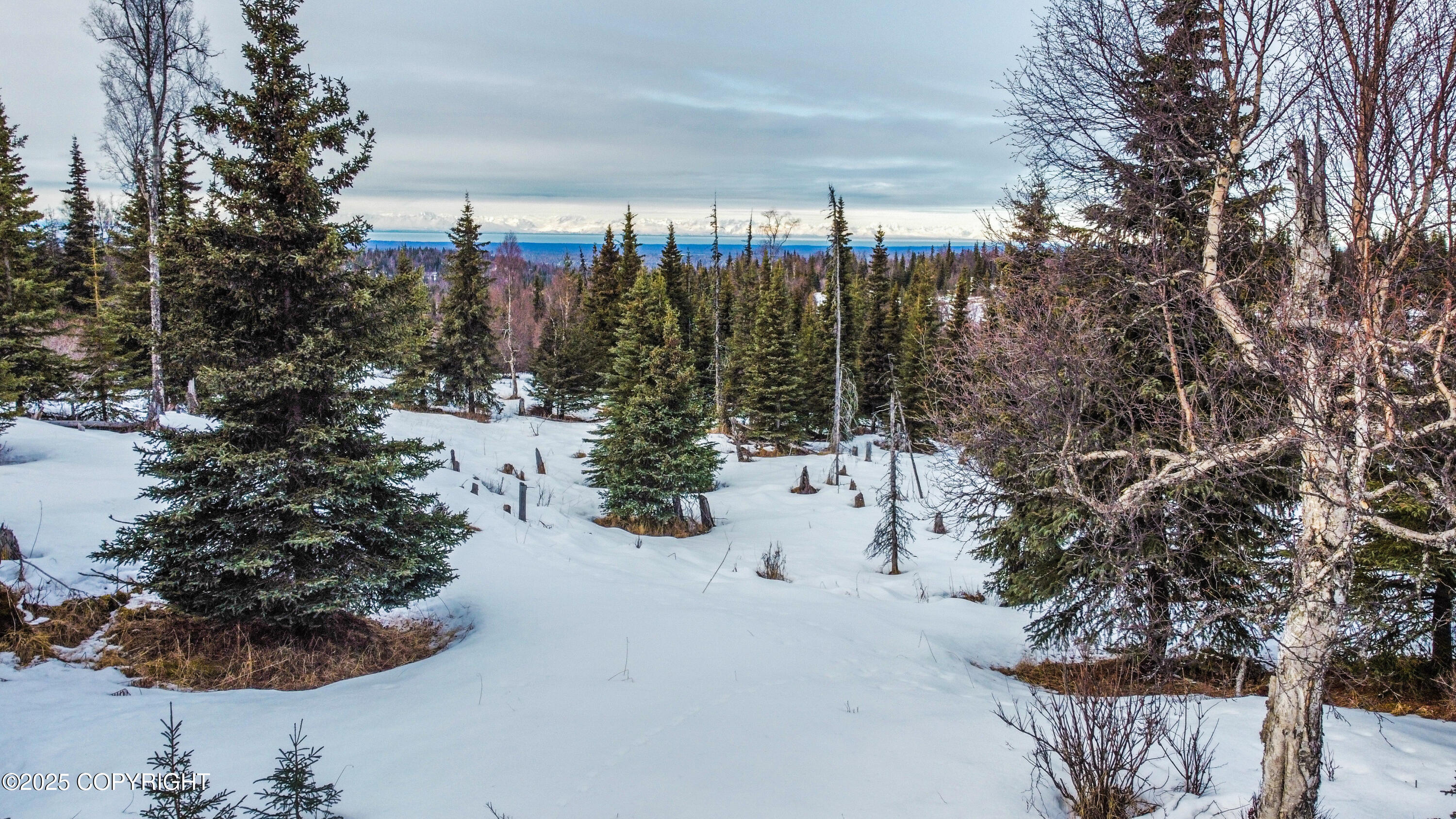 000 Shelford Avenue, Ninilchik, Alaska image 20