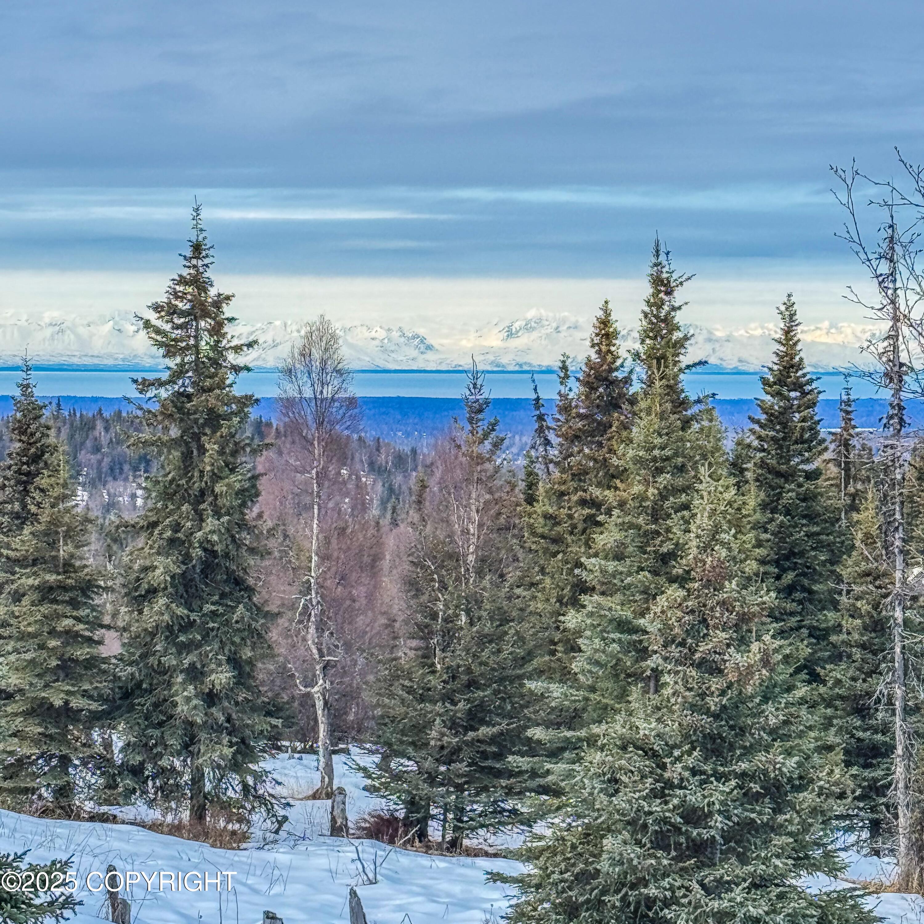 000 Shelford Avenue, Ninilchik, Alaska image 2