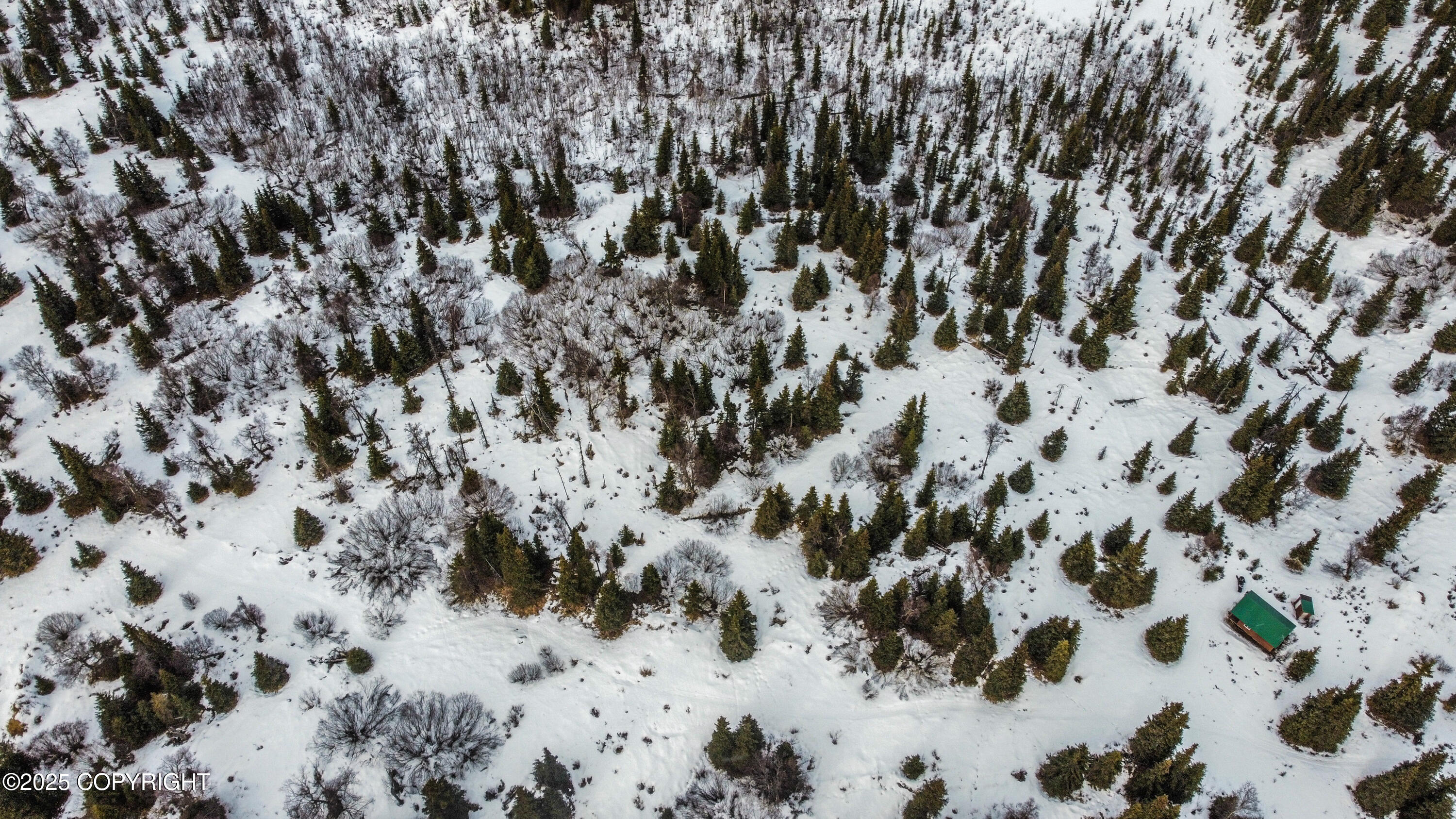 000 Shelford Avenue, Ninilchik, Alaska image 12
