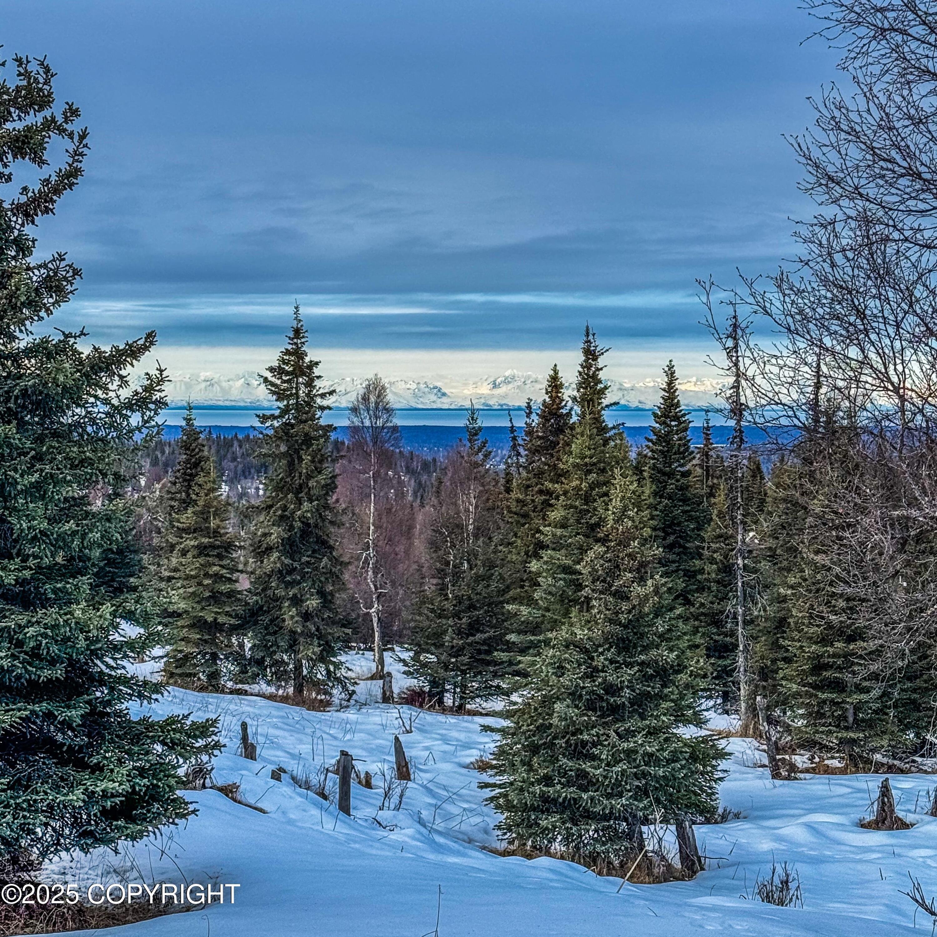 000 Shelford Avenue, Ninilchik, Alaska image 21