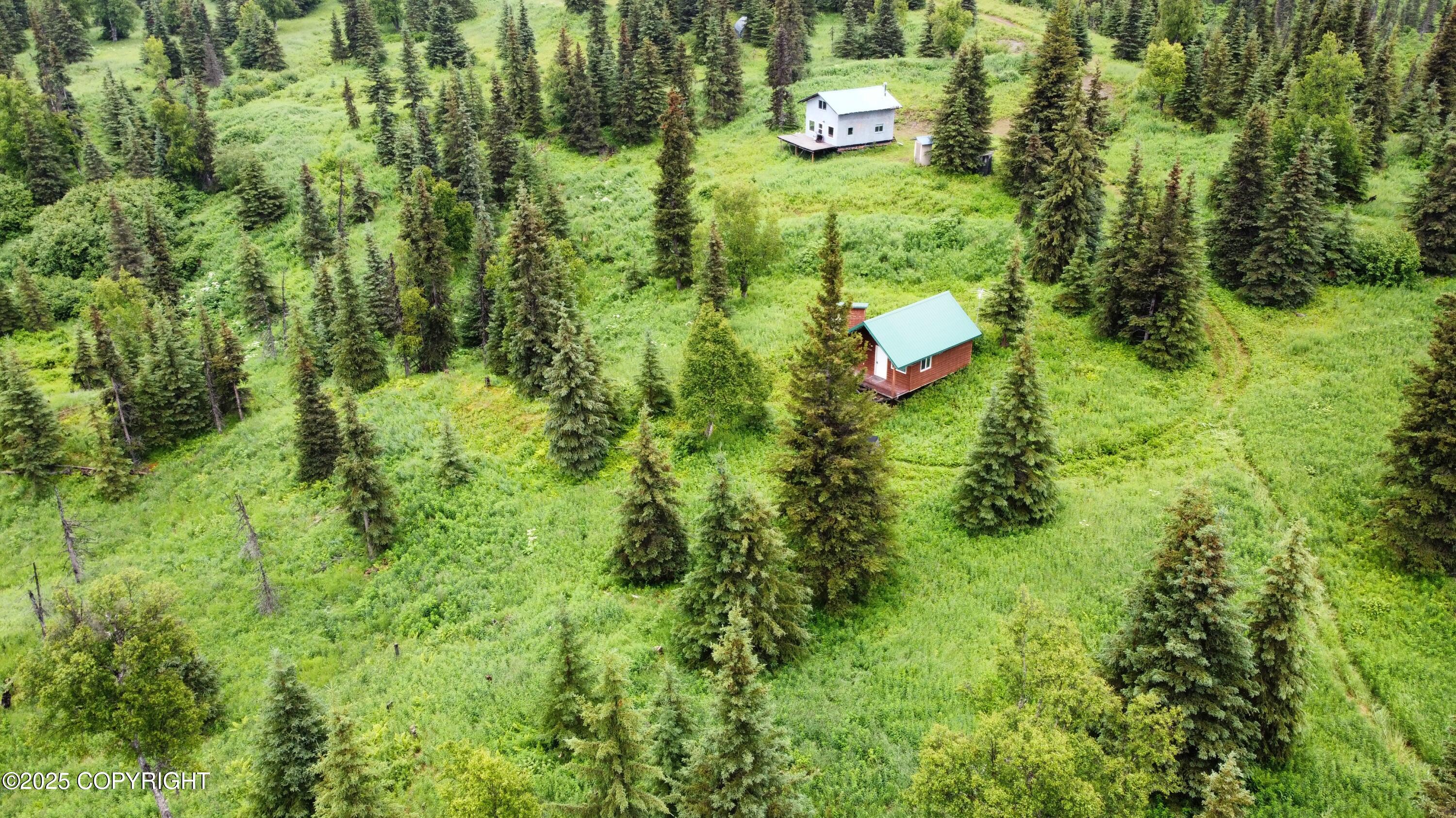 000 Shelford Avenue, Ninilchik, Alaska image 46