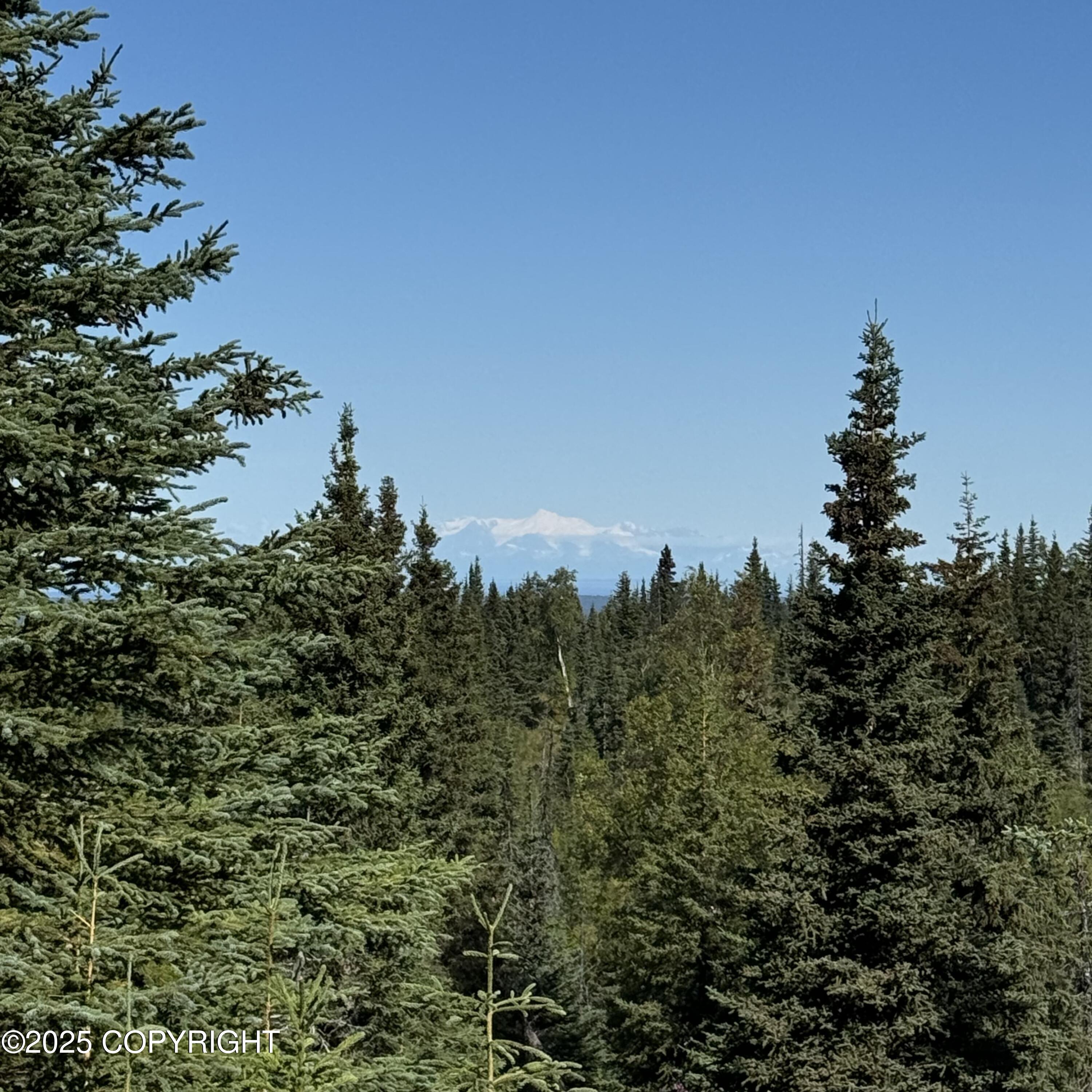 000 Shelford Avenue, Ninilchik, Alaska image 41