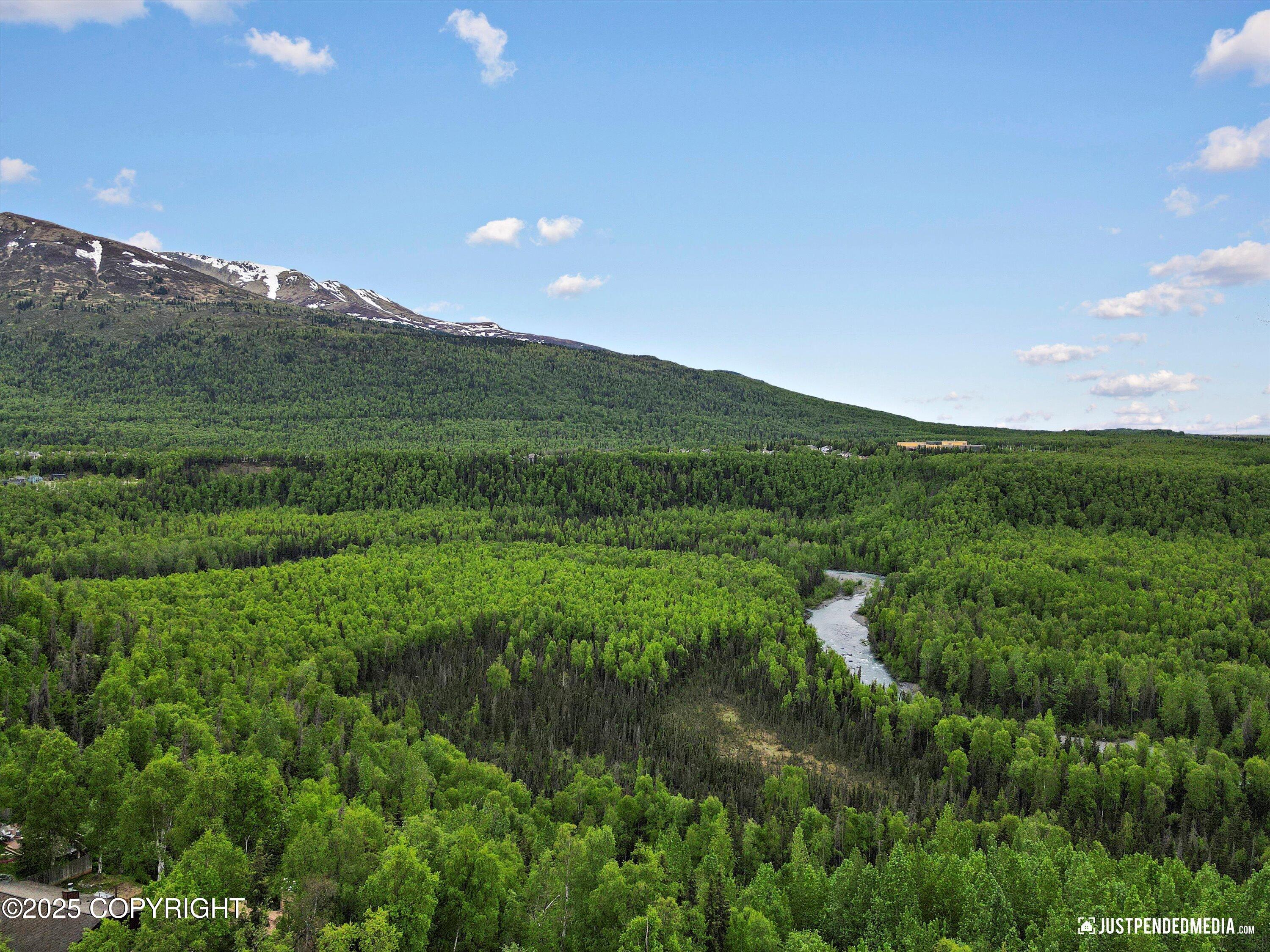 9806 Niltina Lane, Eagle River, Alaska image 7
