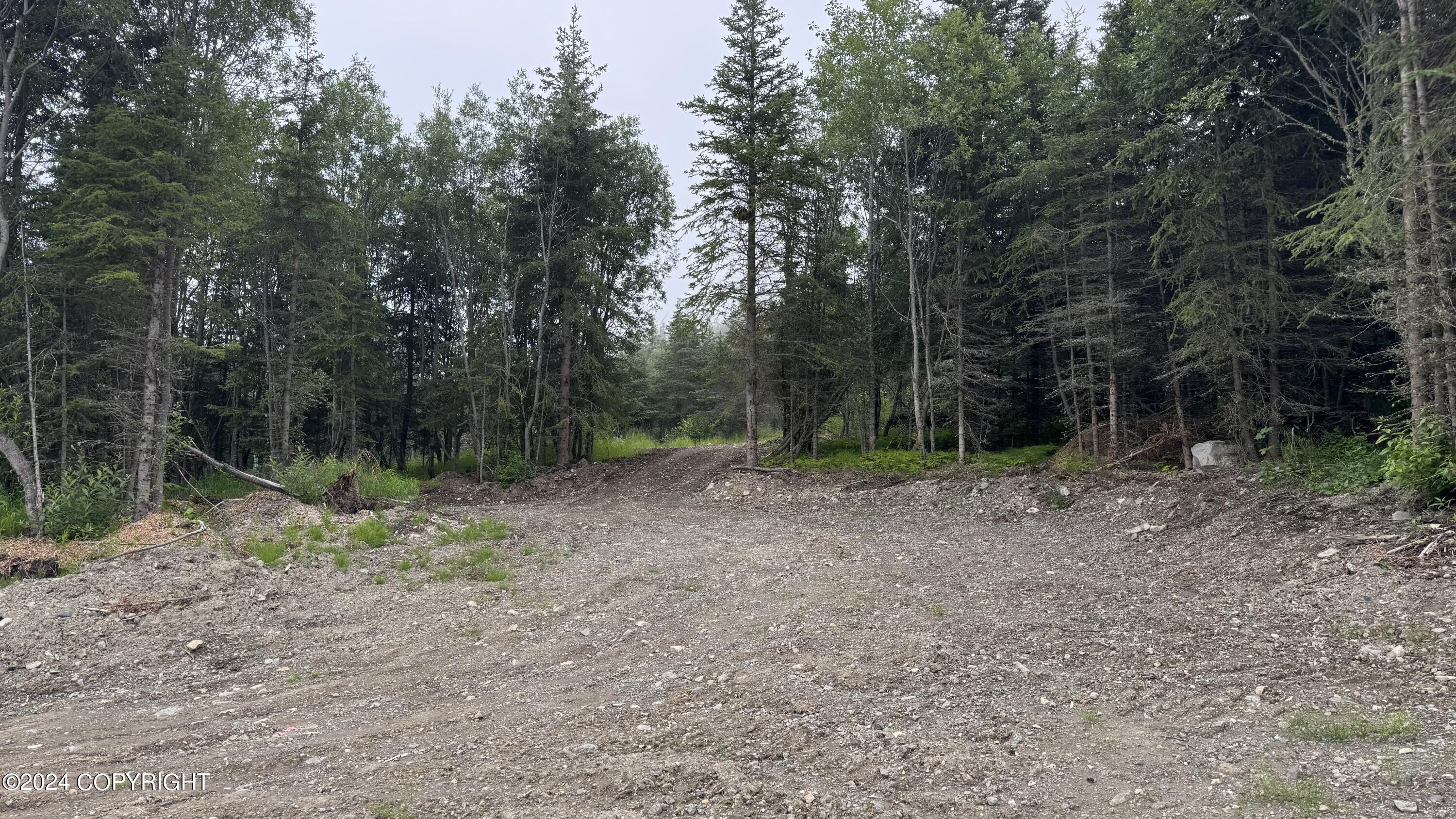 L8B4 Hiland Road, Eagle River, Alaska image 9