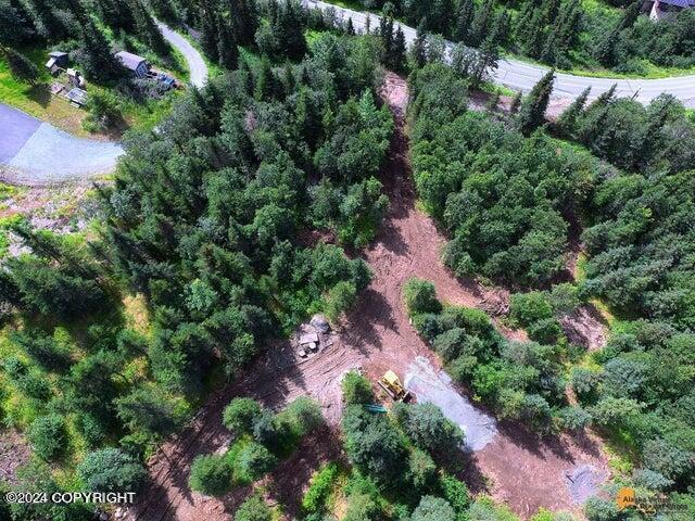L8B4 Hiland Road, Eagle River, Alaska image 2