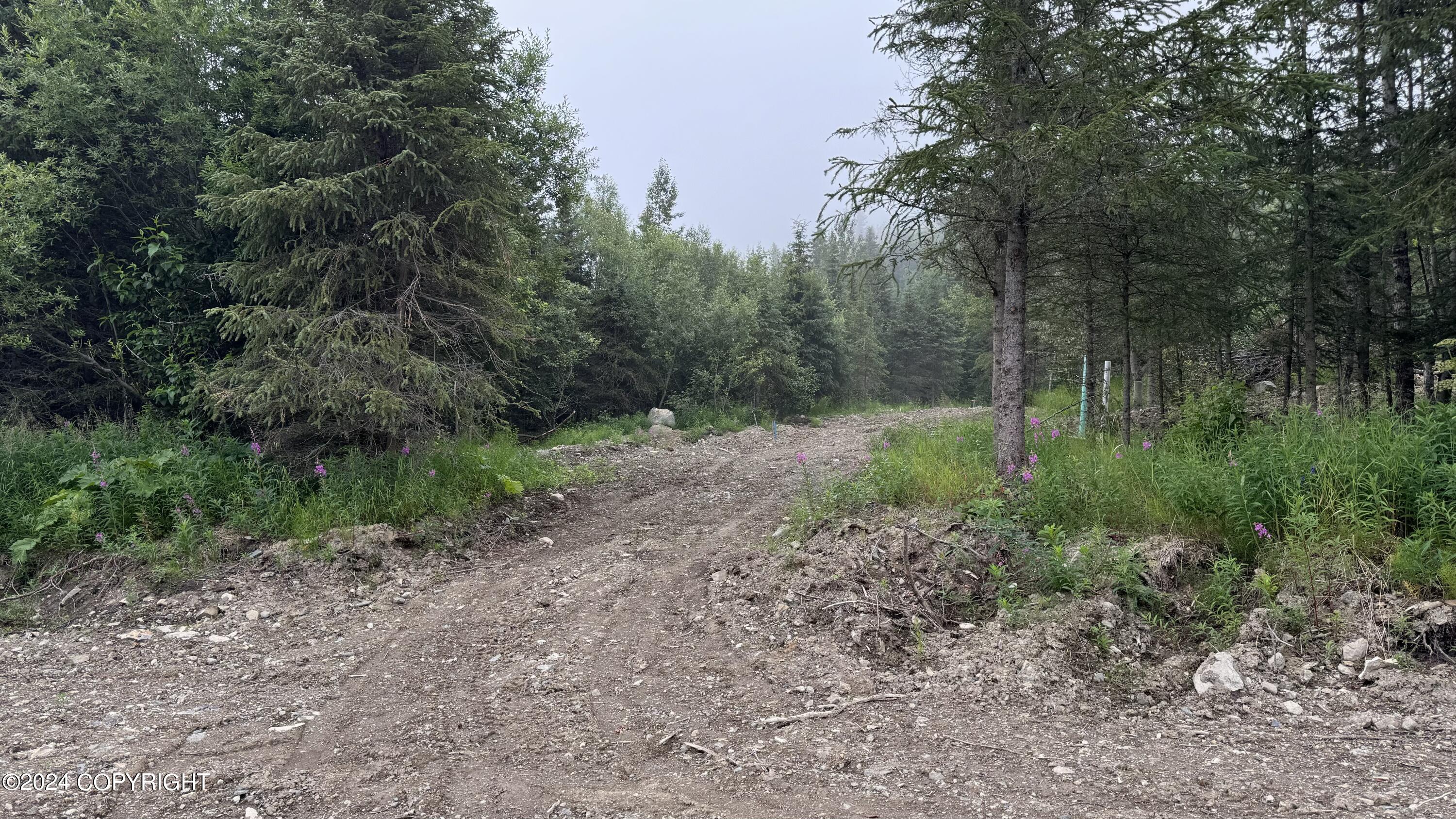 L8B4 Hiland Road, Eagle River, Alaska image 11
