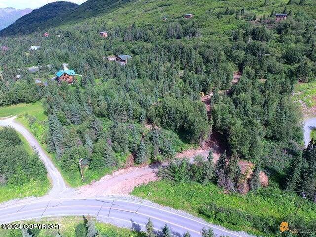 L8B4 Hiland Road, Eagle River, Alaska image 5