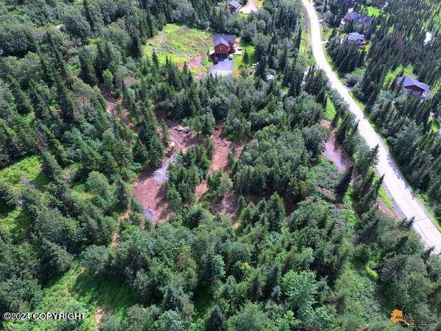 L8B4 Hiland Road, Eagle River, Alaska image 3