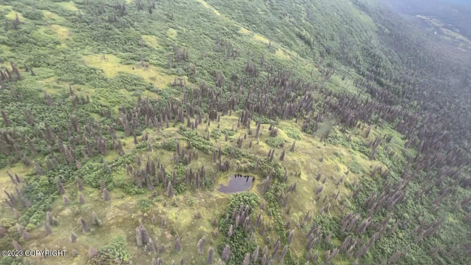 000 Mcwilliams - Gold Creek Trail, Talkeetna, Alaska image 11