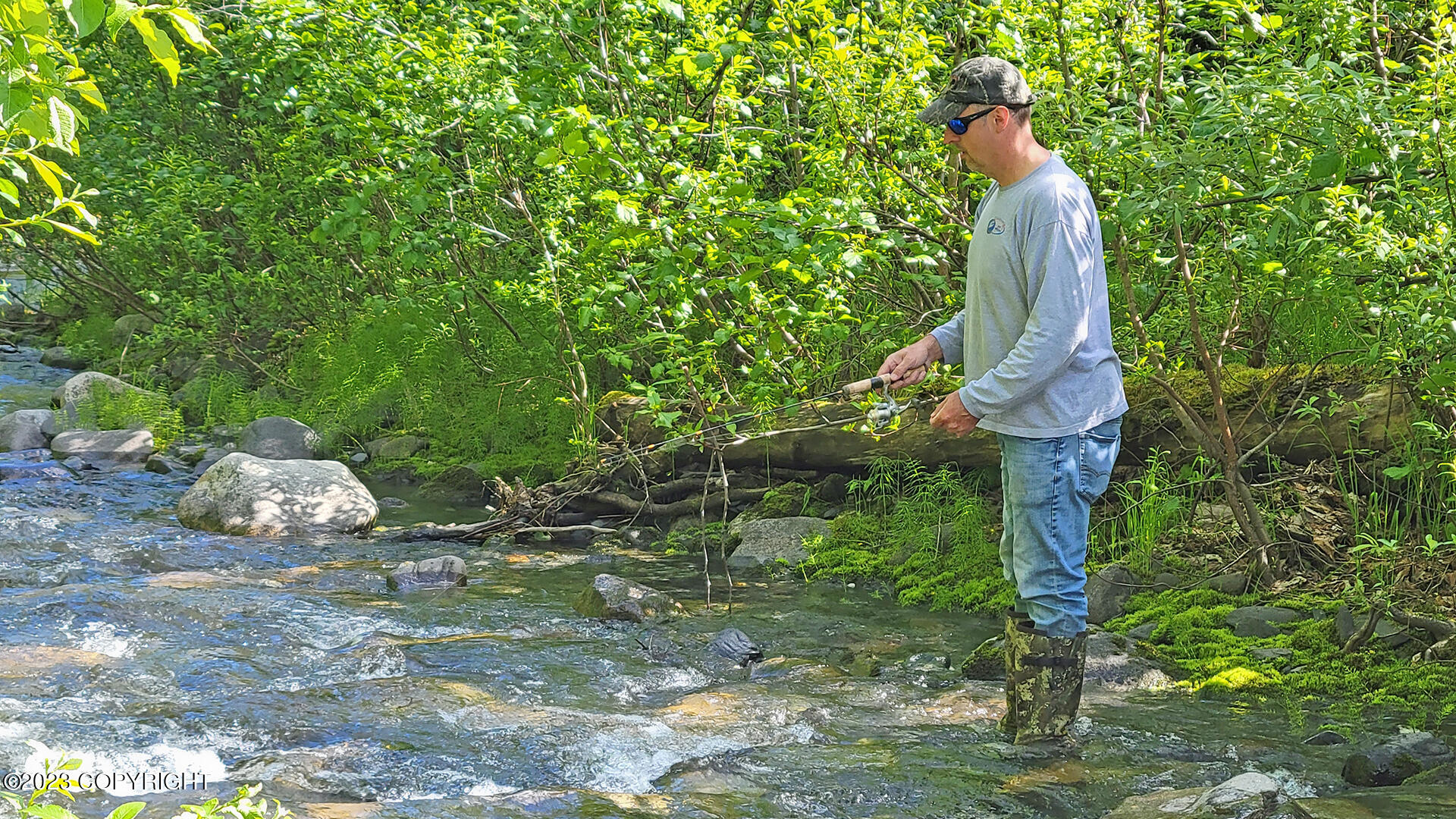 000 Mcwilliams - Gold Creek Trail, Talkeetna, Alaska image 45