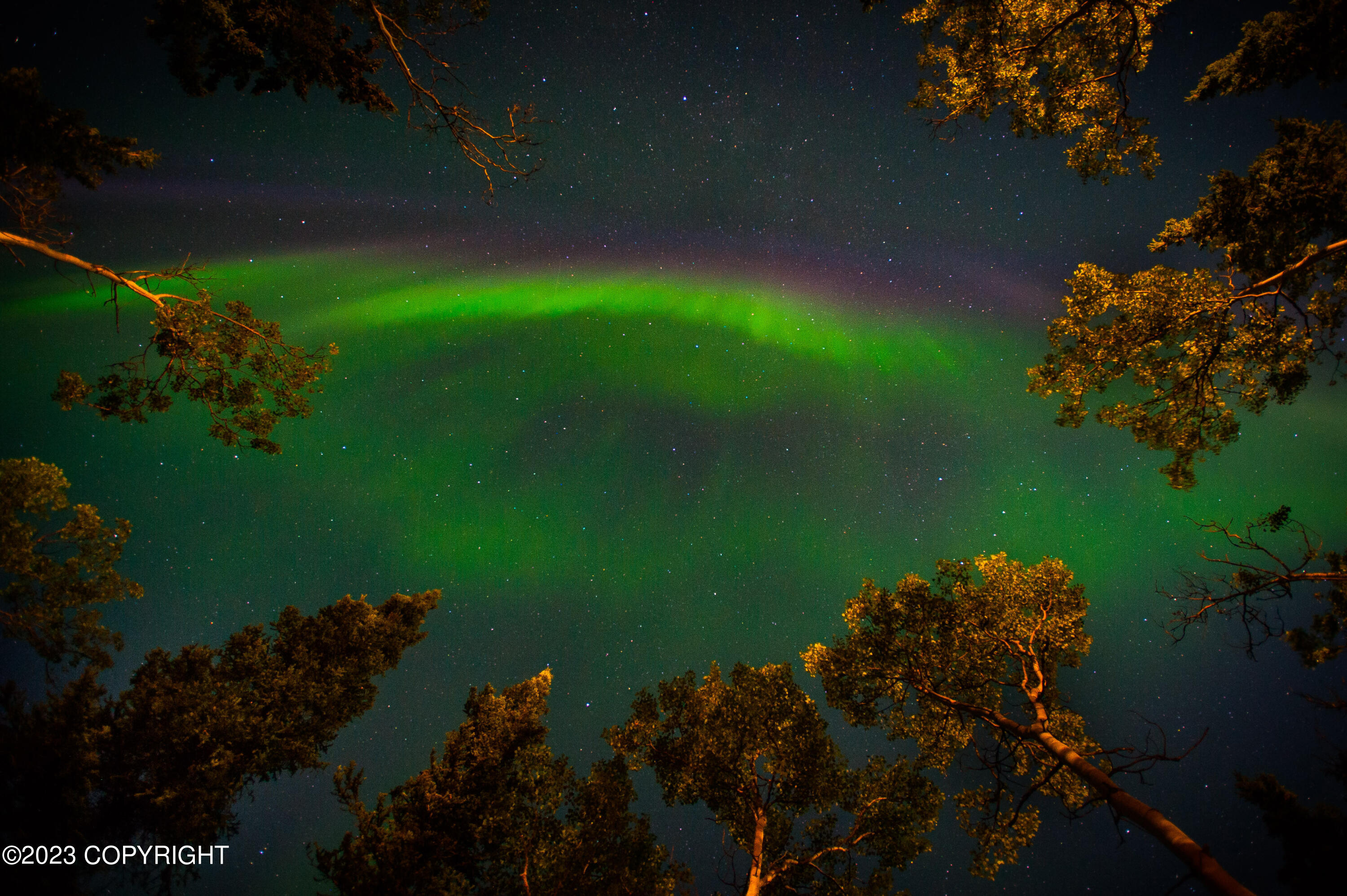 000 Mcwilliams - Gold Creek Trail, Talkeetna, Alaska image 24