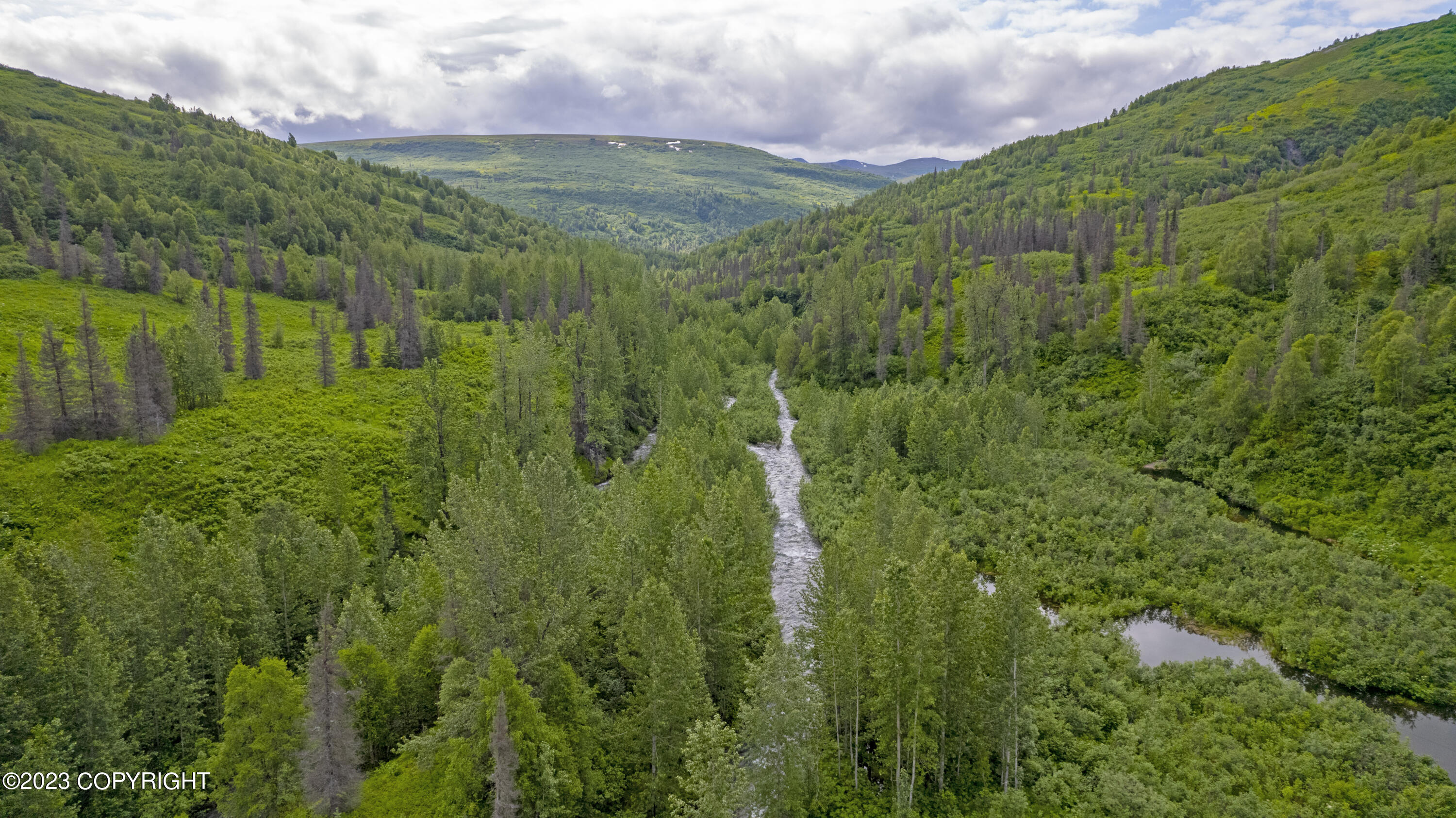 000 Mcwilliams - Gold Creek Trail, Talkeetna, Alaska image 1