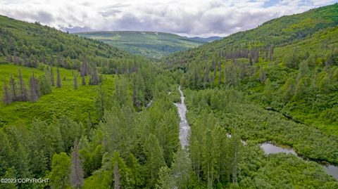 Vacant Land For Sale - 000 Mcwilliams - Gold Creek Trail<br/> Talkeetna, AK 99676