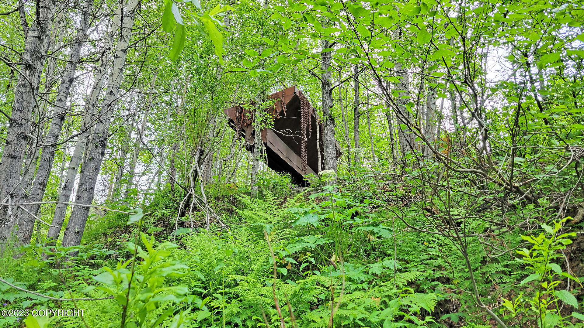 000 Mcwilliams - Gold Creek Trail, Talkeetna, Alaska image 36