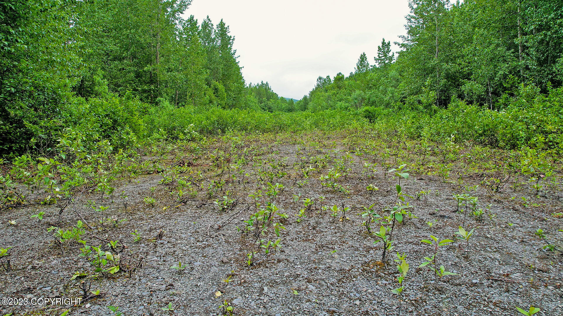 000 Mcwilliams - Gold Creek Trail, Talkeetna, Alaska image 42