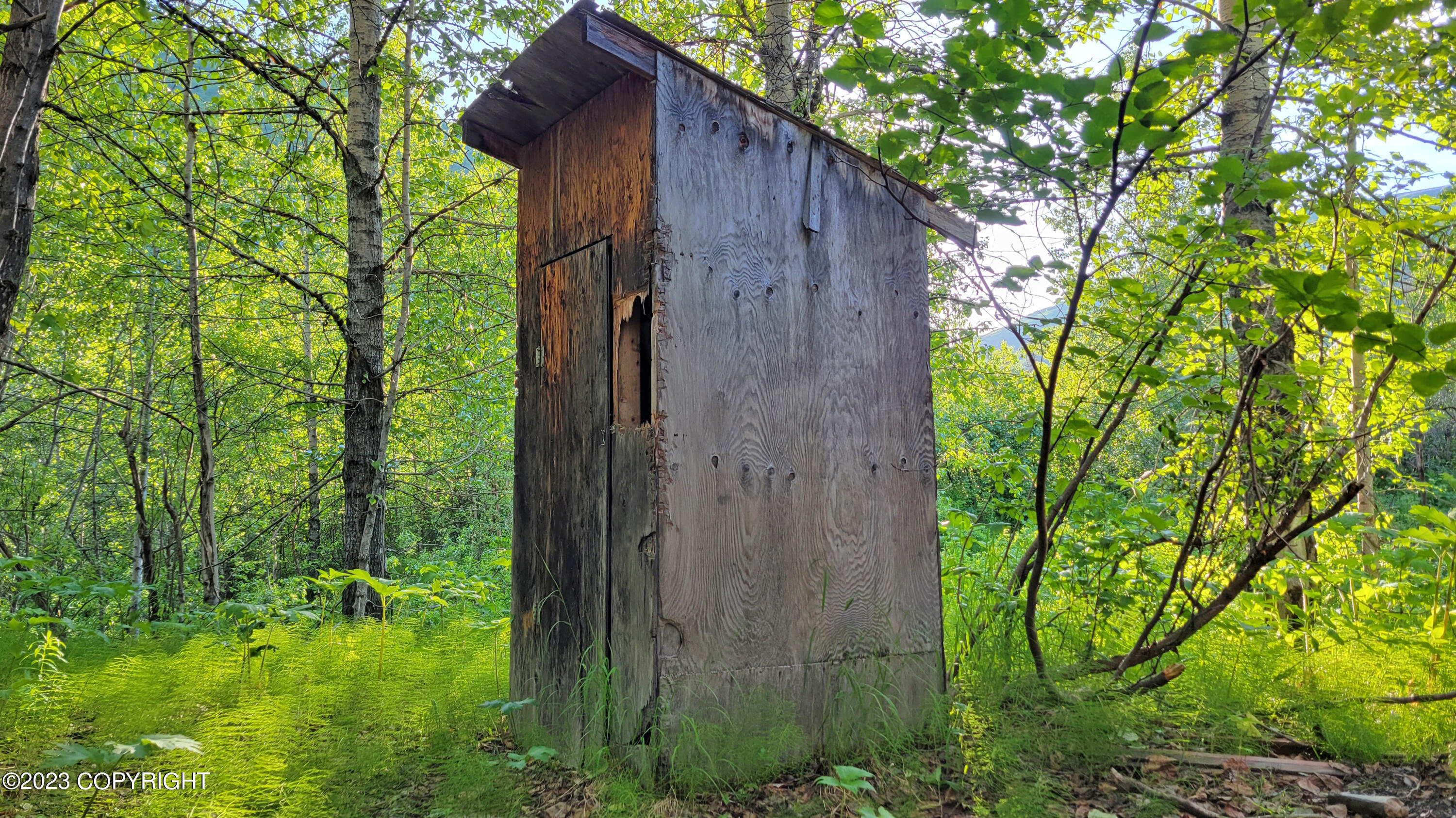 000 Mcwilliams - Gold Creek Trail, Talkeetna, Alaska image 37