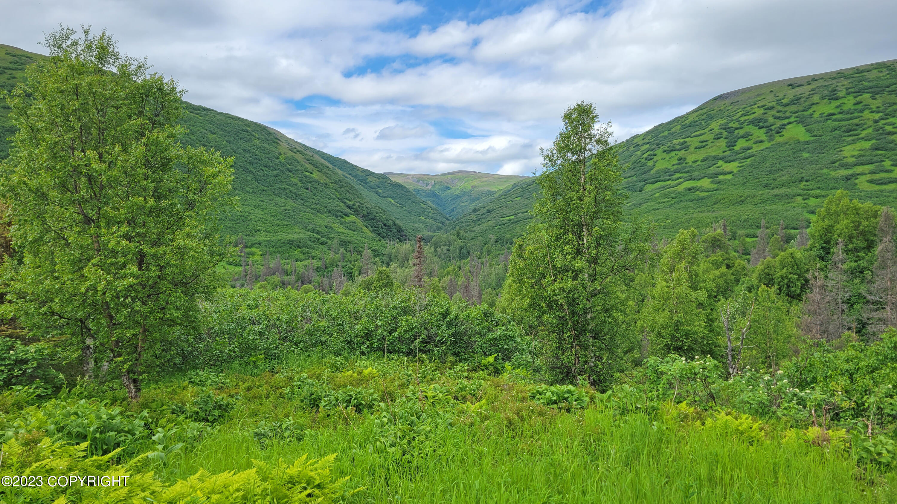 000 Mcwilliams - Gold Creek Trail, Talkeetna, Alaska image 47