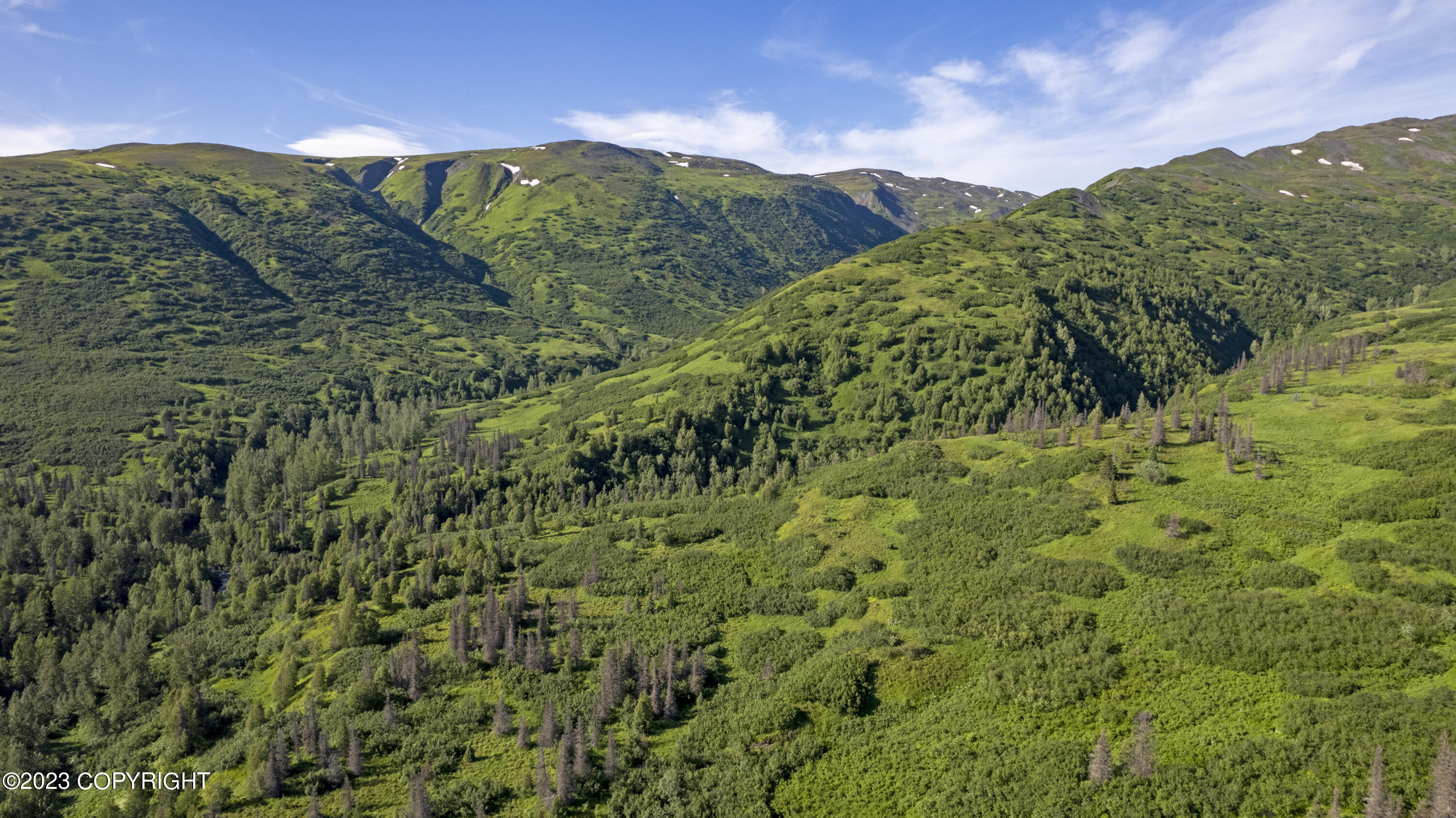 000 Mcwilliams - Gold Creek Trail, Talkeetna, Alaska image 2