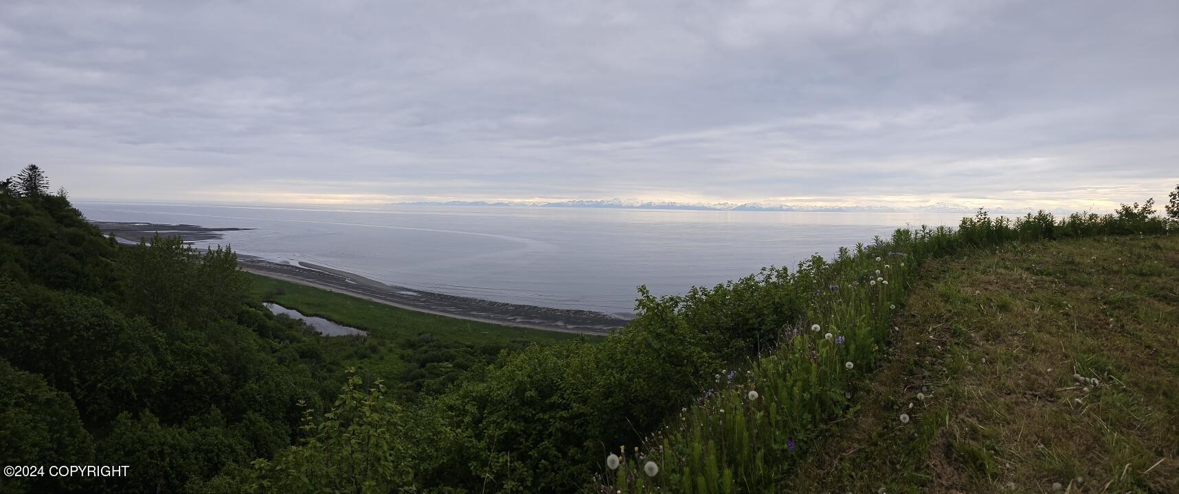 32425 Sterling Highway, Anchor Point, Alaska image 5