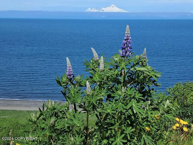32425 Sterling Highway, Anchor Point, Alaska image 8