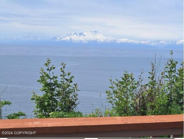 32425 Sterling Highway, Anchor Point, Alaska image 12