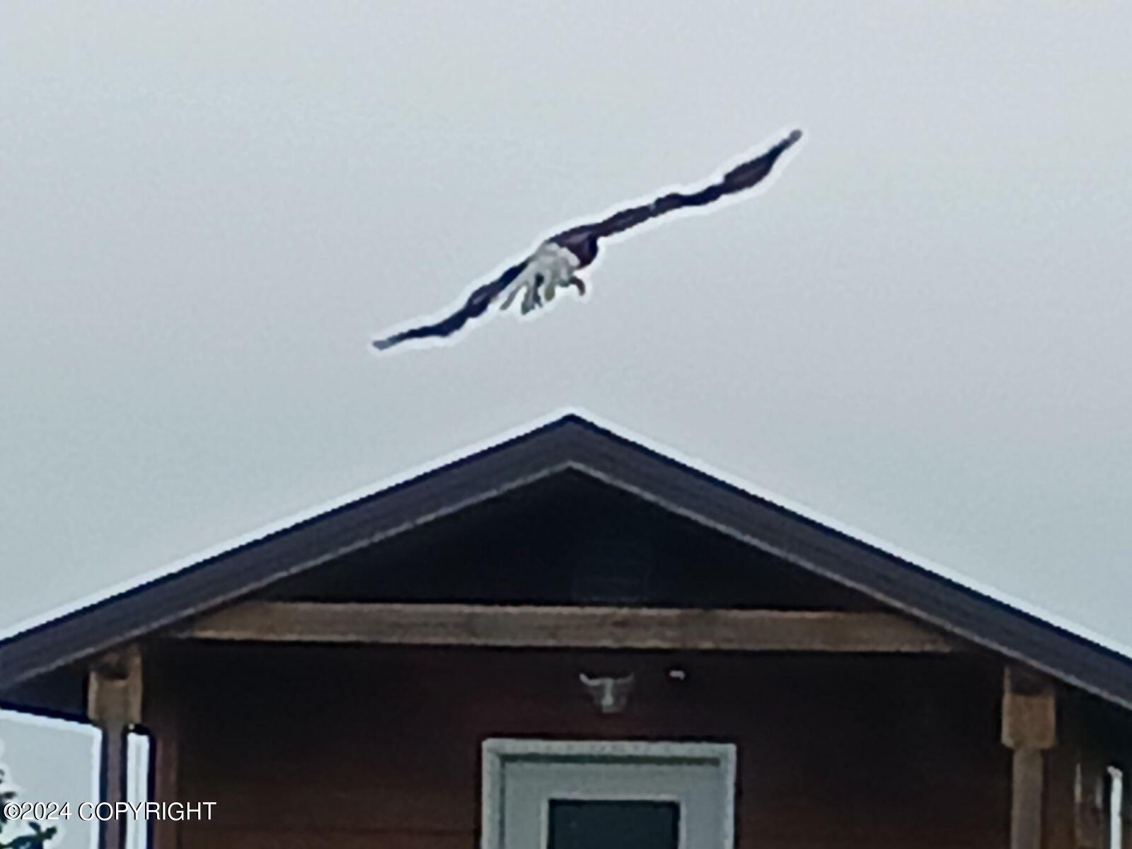 32425 Sterling Highway, Anchor Point, Alaska image 33