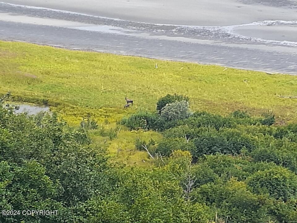 32425 Sterling Highway, Anchor Point, Alaska image 48