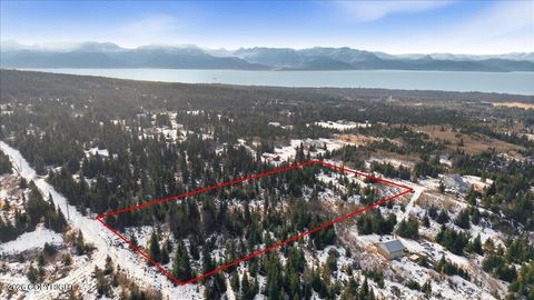 Vacant Land For Sale - 55446 Finch Avenue<br/> Homer, AK 99603