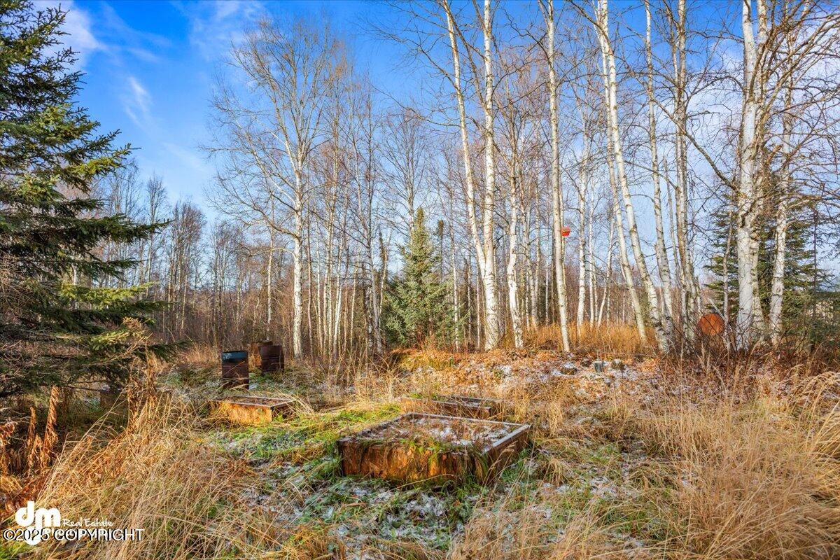 17709 Willow Fishhook Road Rd, Willow, Alaska image 30