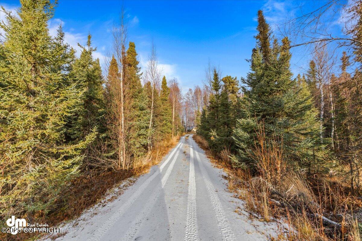 17709 Willow Fishhook Road Rd, Willow, Alaska image 33