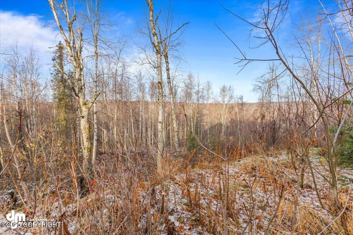 17709 Willow Fishhook Road Rd, Willow, Alaska image 36